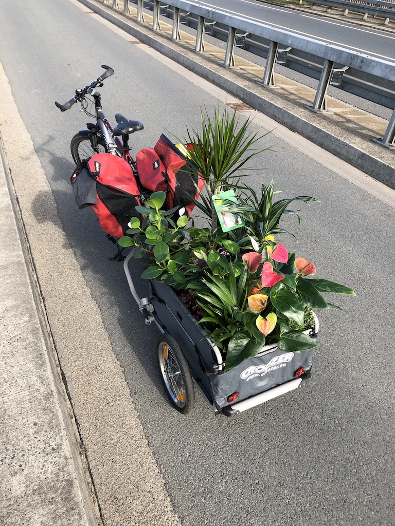Rad mit Anhänger und Blumen